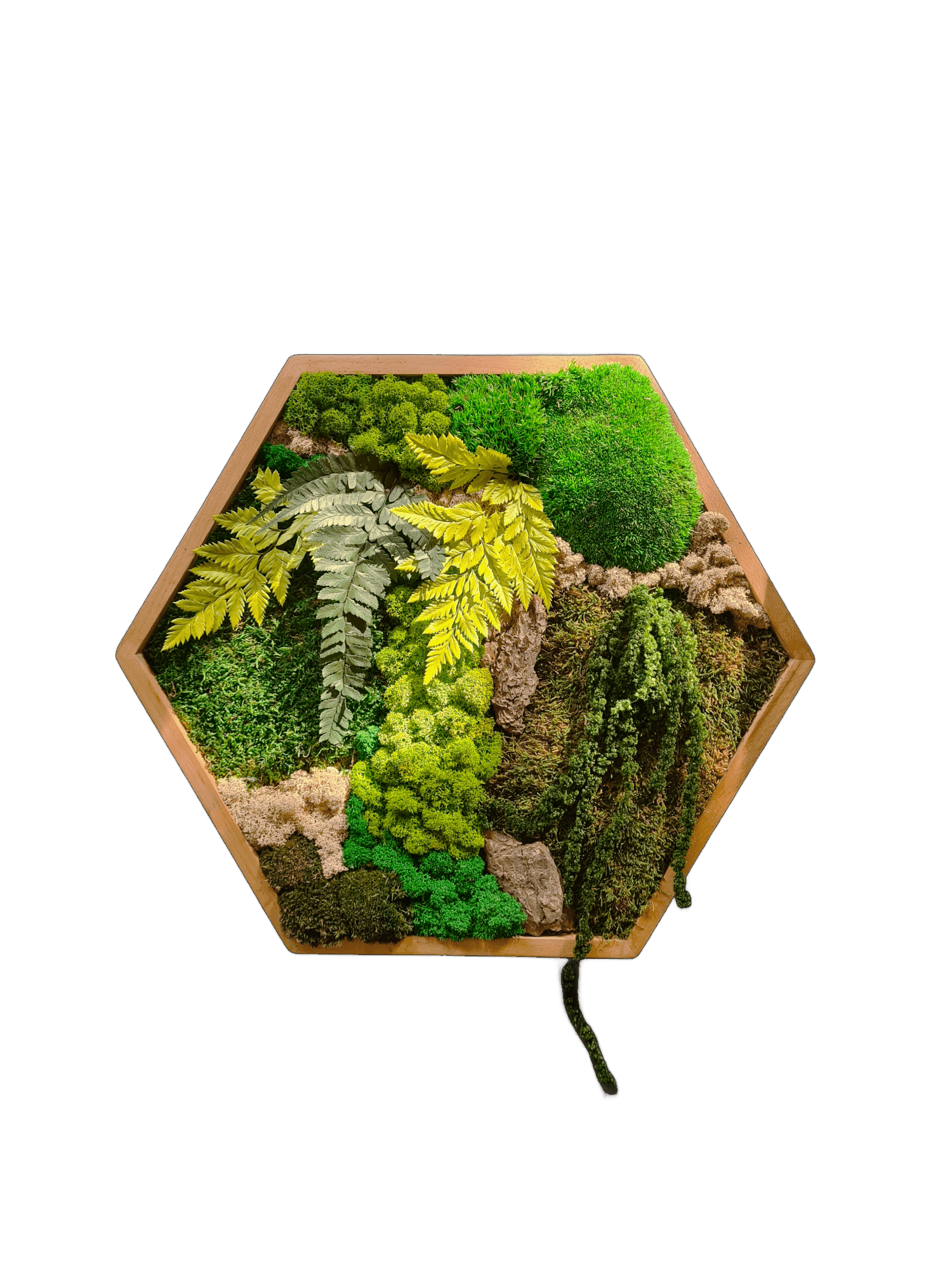 Hexagarden